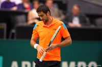 Marin Cilic Rotterdam 2014