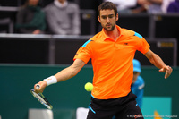 Marin Cilic Rotterdam 2014