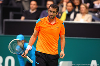 Marin Cilic Rotterdam 2014