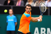 Marin Cilic Rotterdam 2014