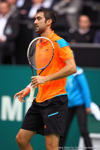 Marin Cilic Rotterdam 2014