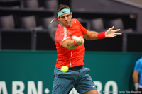 Juan Martin del Potro Rotterdam 2014