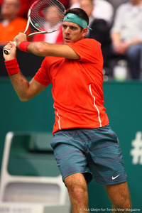 Juan Martin del Potro Rotterdam 2014