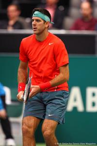 Juan Martin del Potro Rotterdam 2014