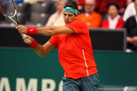 Juan Martin del Potro Rotterdam 2014