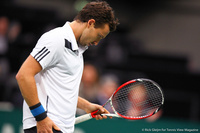 Ernests Gulbis Rotterdam 2014