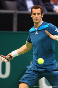 Andy Murray Rotterdam 2014