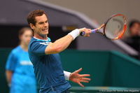 Andy Murray Rotterdam 2014