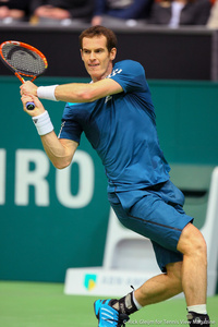 Andy Murray Rotterdam 2014