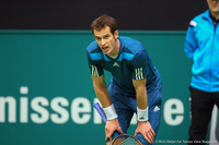 Andy Murray Rotterdam 2014