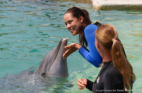 Sony Open: Dolphin Adventure | Tennis View Magazine